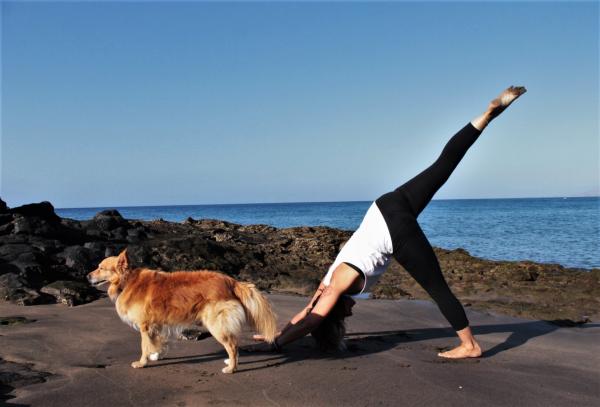 Yoga con animales