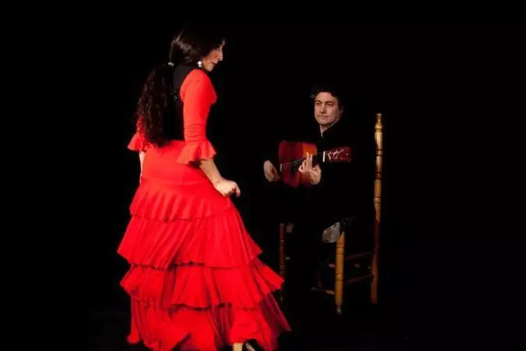 experiencia flamenco